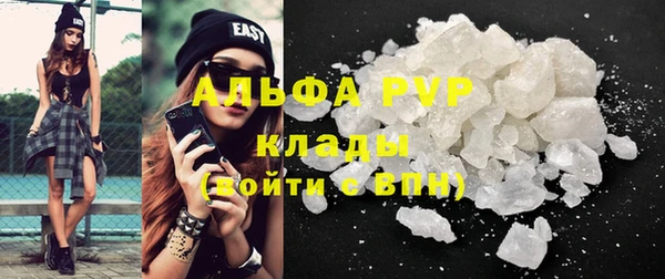 амф Козловка