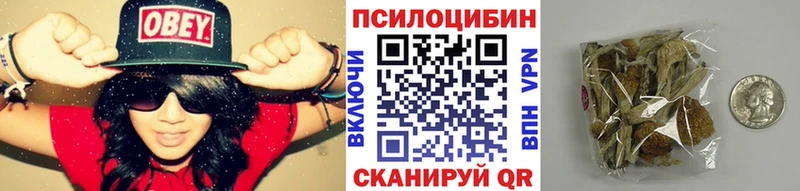 Купить где  Медынь  Псилоцибиновые грибы Psilocybine cubensis 