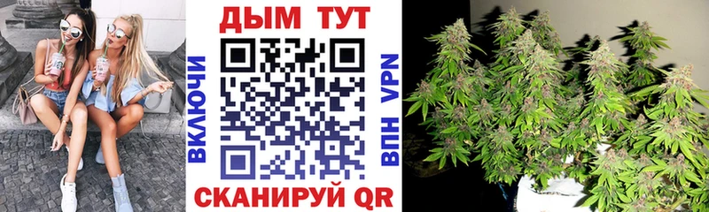 Купить где  Медынь  Каннабис Ganja 
